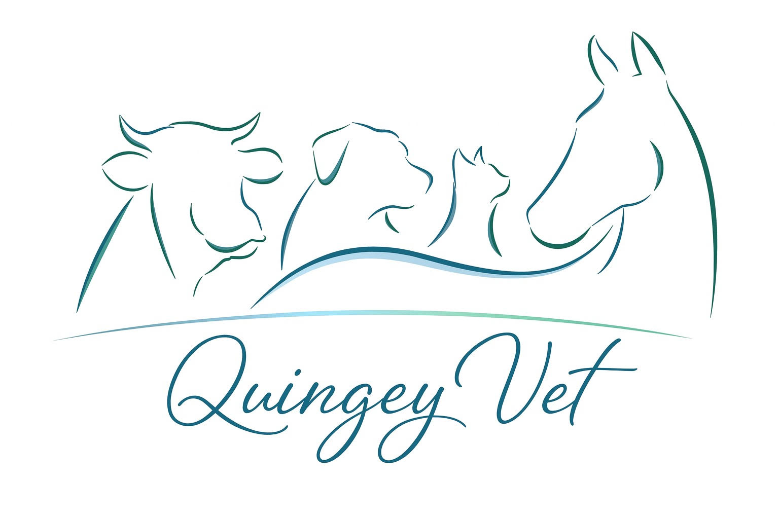 Quingey Vet